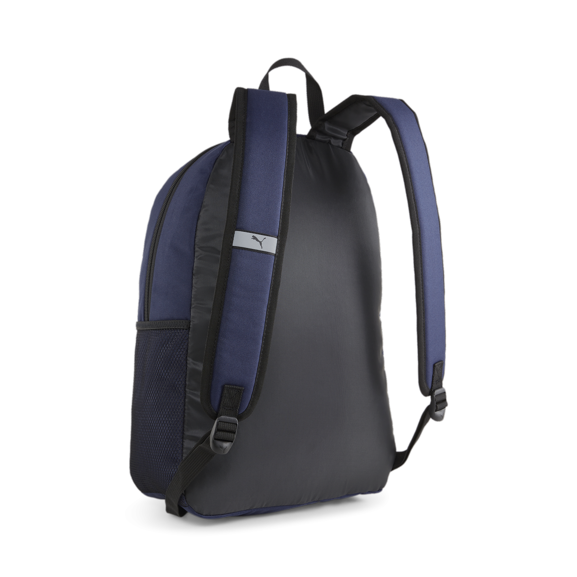 Back View