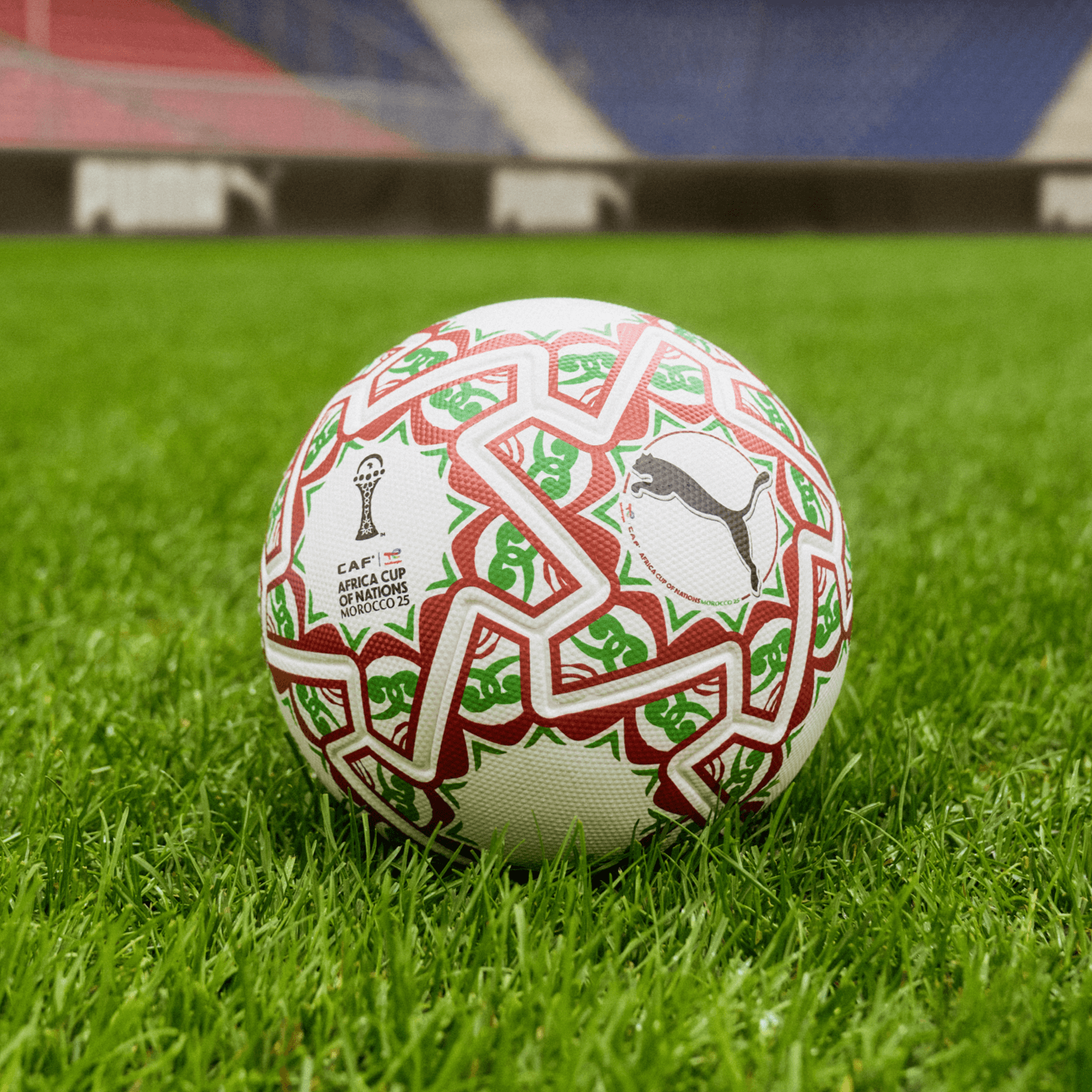 Morocco National Team